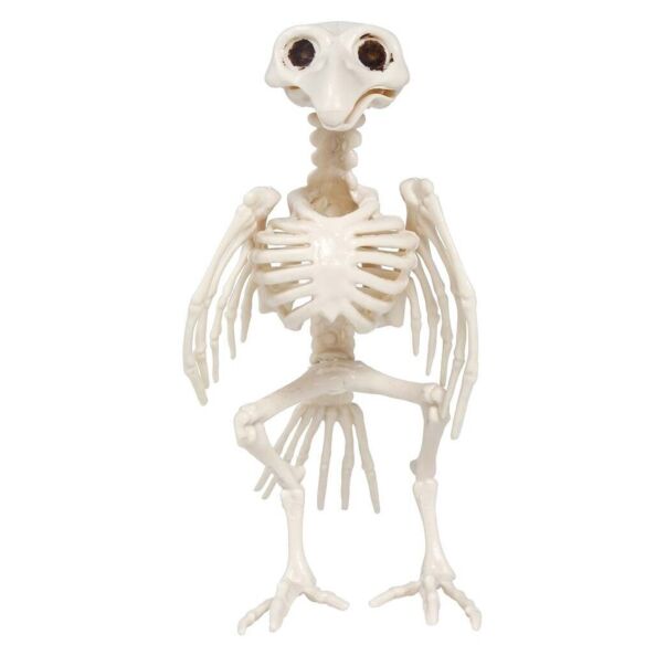 Halloween koriste - Variksen luuranko, 20cm