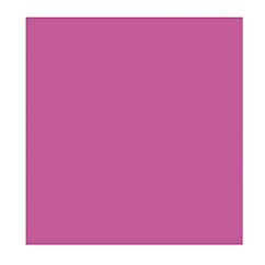 Lautasliinat - Neonpinkki, 12kpl