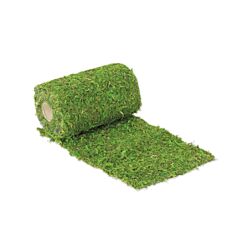 Aito sammal-kaitaliina, 2 m.