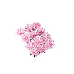Koristekukat Daalia - Vaaleanpunaiset, 3,5cm, 12kpl