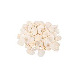 Valkoiset simpukankuoret, 100g