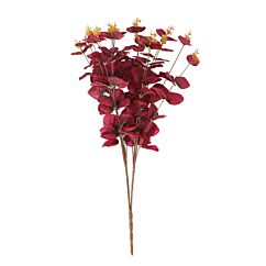 Koristekimppu - Eucalyptus, Purppura, 50cm