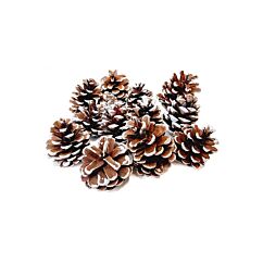 Koristekävyt rautalangalla, 3cm, 12kpl