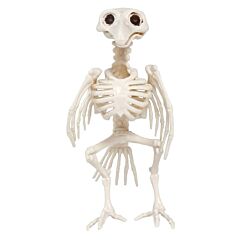 Halloween koriste - Variksen luuranko, 20cm