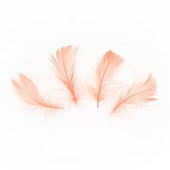 Aidot Höyhenet Persikka, 5-8cm, 50kpl