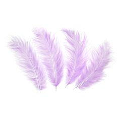 Aidot Höyhenet Violetti, 10-15cm, 50kpl
