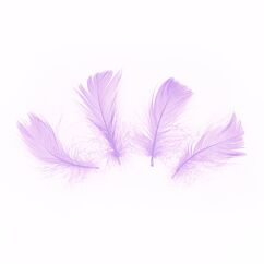 Aidot Höyhenet Violetti, 5-8cm, 50kpl