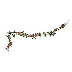 Ruusuköynnös - Fuksia, 1,85m