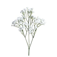 Tekokasvi - Harsoraunikki,  67cm, 1kpl