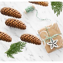 Aidot Kuusenkävyt, 3 kpl