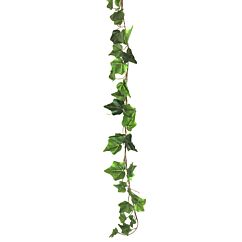 Lehtiköynnös, Muratti, 180 cm.