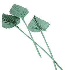 Palmunlehti – Palm Spear, 55cm, Vihreä, 10 kpl.