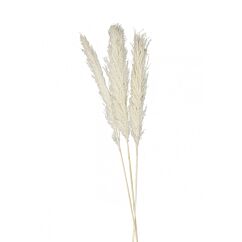 Luonnonväriset koristeheinät, 65-75 cm, 6 kpl.