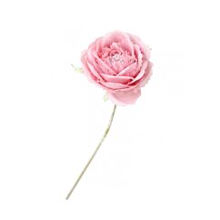 Tekokasvi - Vaaleanpunaiset kameliat, 1kpl