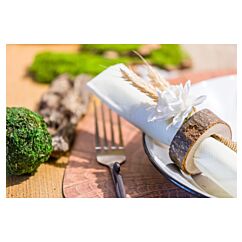 Puiset lautasliinarenkaat, 8kpl