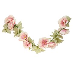 Hennon vaaleanpunainen ruusuköynnös, 220 cm