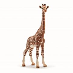 Schleich kirahvi naaras.