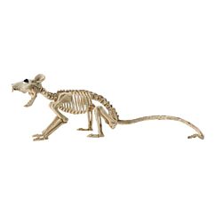 Halloween koriste - Rotan luuranko, 40cm