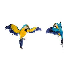 Sininen koristepapukaija