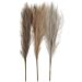 Keinotekoinen Pampas ruoho, Rusk/Harm