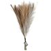 Keinotekoinen Pampas ruoho, Rusk/Harm