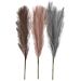 Keinotekoinen Pampas ruoho, Sin/Pun/Viol
