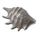 Harmaa simpukka, 1 kpl, 12 x 8 cm.