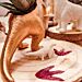 Dinosauruksen jalan muotoinen puuleima. 2kpl.