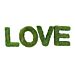 Love kyltti, Sammal