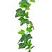 Lehtiköynnös, Muratti, 220 cm.